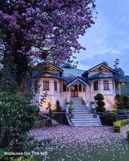 Walauwa On The Hill Otel Hatton Dış mekan fotoğraf
